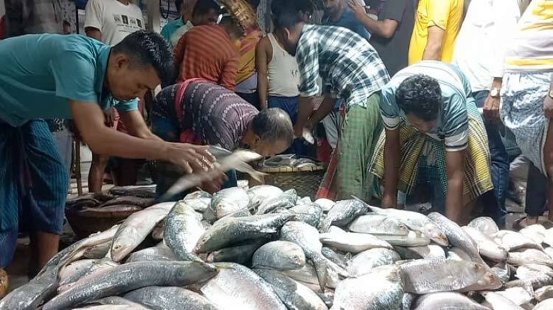 সপ্তাহের ব্যবধানে ইলিশের দাম কেজিতে বেড়েছে ২০০ থেকে ৩০০ টাকা।